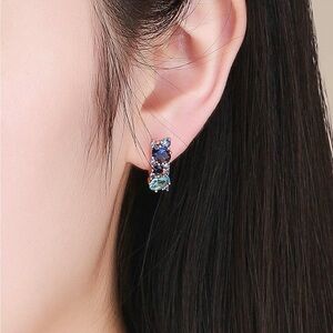 Elegant Blue and Silver Earrings